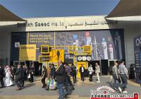 Intersec 2025 | 第26届迪拜劳保展精彩回顾，下届展会定档！